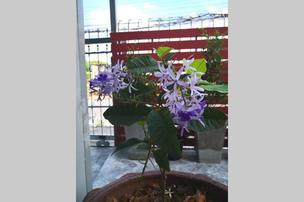 Bluebell House Hatyai - Cosy 3 Bedrooms For 10 Pax - 9 Mins Drive To Lee Grd Ban Kho Hong Dış mekan fotoğraf